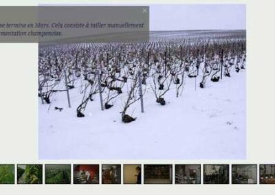 Capture d'écran du site Champagne Didier Lapie. Galerie de photos sur les différentes étapes d'élaboration du Champagne