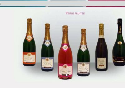 Capture d'écran du site Champagne Didier Lapie. Photographie des différentes bouteilles. Textes: Perle fruitée