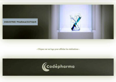 Capture d'écran du site Thibault Ludwig. Textes: Industrie pharmaceutique, Codepharma, Cliquez sur un logo pour afficher les réalisations